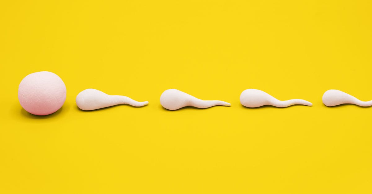 How to Increase Sperm Count: 15 Ways