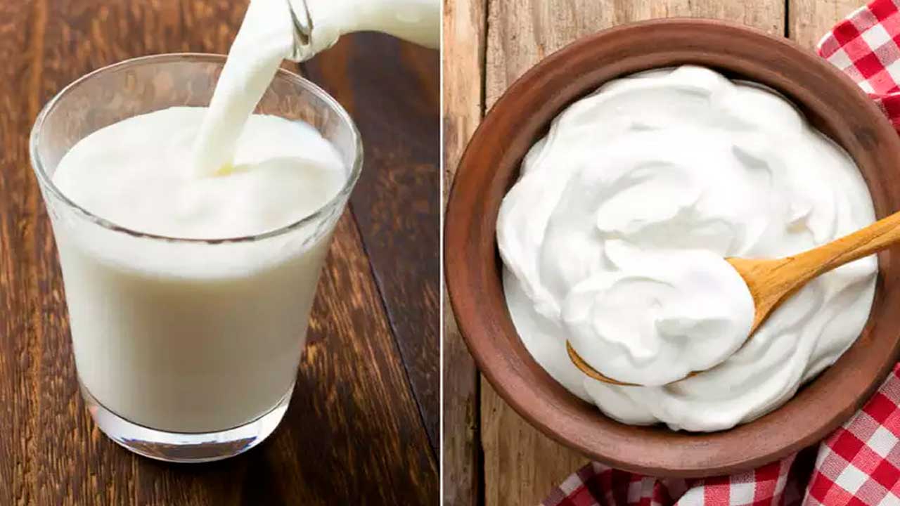 Understand the difference between curd and buttermilk