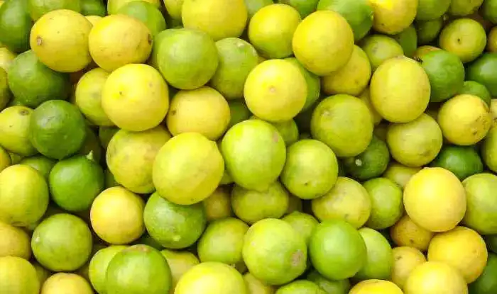 After Rajkot in Gujarat, the price of lemon in Jaipur is now touching Rs 400 per kg.
