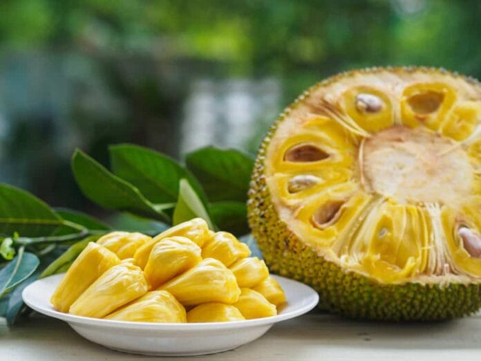After eating jackfruit, these things are not needed at all, otherwise your health will deteriorate.


