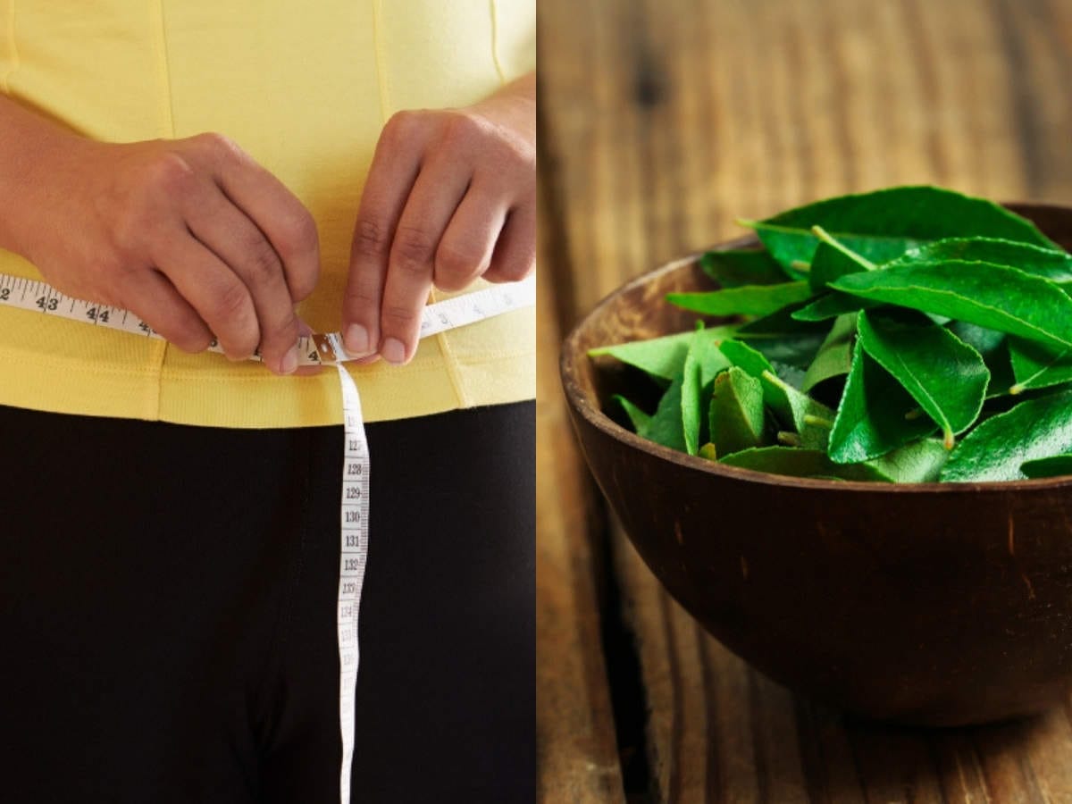 Weight Loss: Want to Burn Fat?  Chew curry leaves!  - times of India