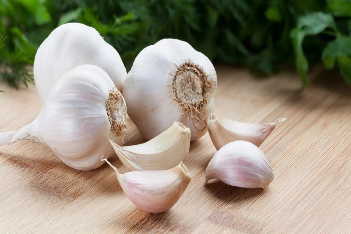 Side effects of garlic: Eating too much garlic is harmful to health, know its side effects
