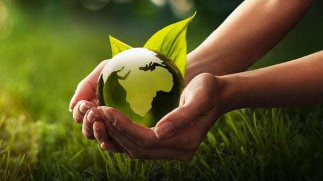 These 8 Sustainable Side Businesses Can Help You Make Money While Protecting the Planet!